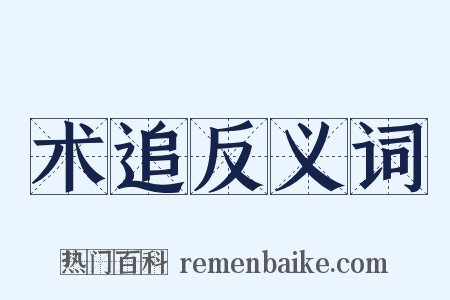 术追反义词是什么意思的图片